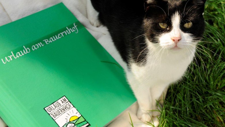 Vacation on the farm award, © rethaller A black and white cat sits next to a green folder with the inscription 'Vacation on a farm'.