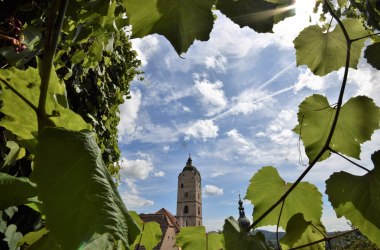Wein in Krems, © Stadtmarketing Krems/Kurt Streibel Wein in Krems, © Stadtmarketing Krems/Kurt Streibel