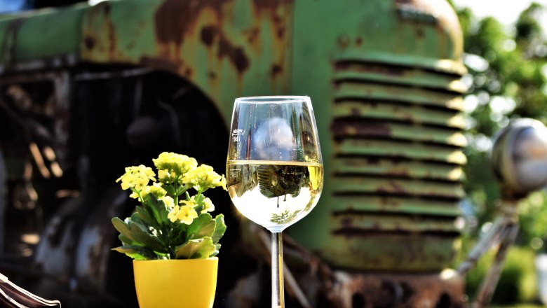 Weinglas im Weingarten, © Kurt Streibel Weinglas im Weingarten, © Kurt Streibel