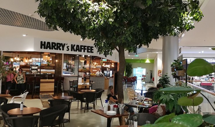 Harry's Kaffee, © Roman Zöchlinger Innenansicht eines Cafés namens Harry's Kaffee mit Tischen, Stühlen und einem großen künstlichen Baum.