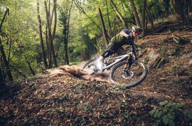 Trailwerk Wachau, © Trailwerk Wachau/Michael Parak Trailwerk Wachau, © Trailwerk Wachau/Michael Parak