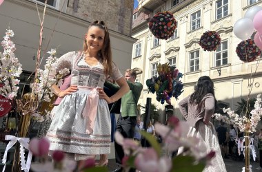 Großer Marillenblütenmarkt in der Kremser Altstadt Großer Marillenblütenmarkt in der Kremser Altstadt