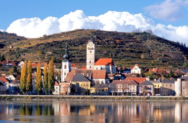 Stadtführung durch die Altstadt Stein, © Stein an der Donau Stadtführung durch die Altstadt Stein, © Stein an der Donau