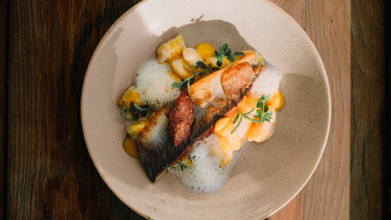 Saiblingsfilet, Erdäpfel-Safrannockerl, © Niederösterreich Werbung/Julius Hirtzberger Gourmetgericht mit Fischfilet, Schaum und Kräutern auf Keramikteller.