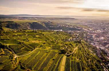 Krems - Wachtberg, © Robert Herbst Krems - Wachtberg, © Robert Herbst