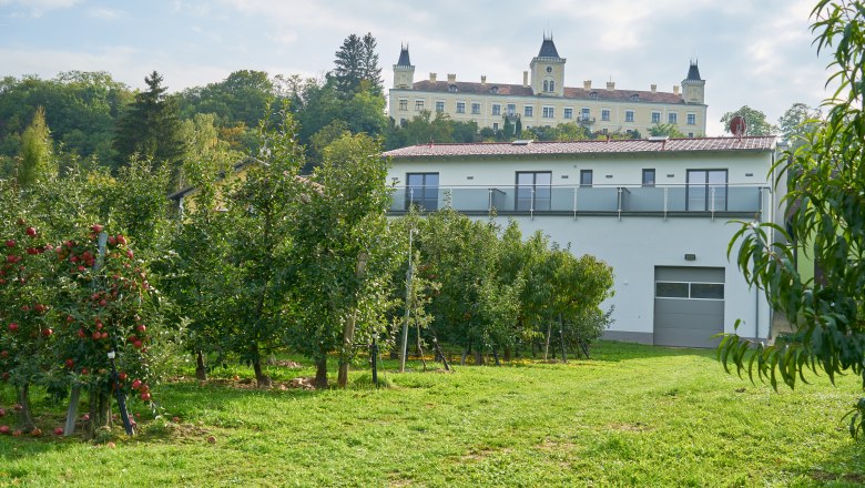 View of Wolfsberg Castle, © Weinhof Maier Wolfsberg Castle in the background with an orchard in the foreground.