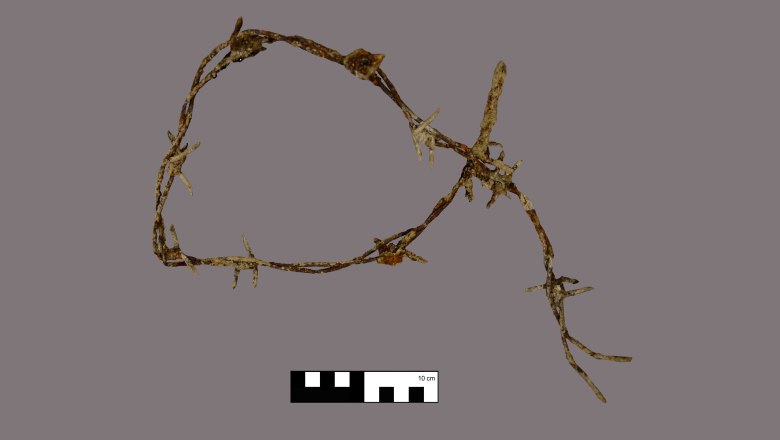 Im Lagerbereich ausgegrabener Stacheldraht, STALAG XVII B, © ASINOE GmbH Im Lagerbereich ausgegrabener Stacheldraht, STALAG XVII B, © ASINOE GmbH