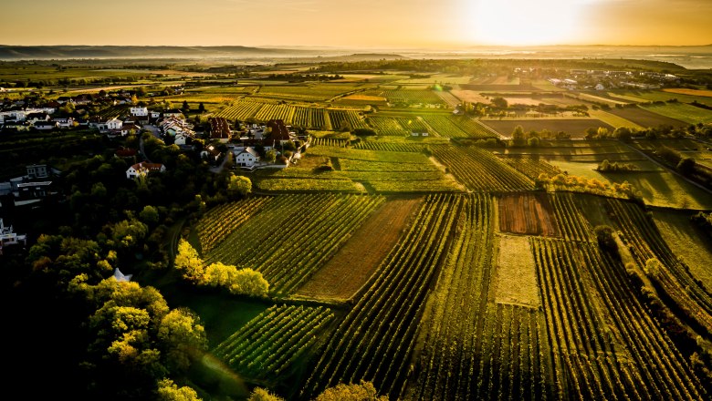 Stratzing - Leithen, © Robert Herbst Stratzing - Leithen, © Robert Herbst