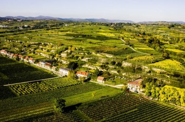 Weinregion Kremstal, © Robert Herbst, Kremstal Weinregion Kremstal, © Robert Herbst, Kremstal