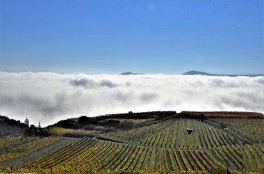 Klima & Boden, © Stadtmarketing Krems/Kurt Streibel Klima & Boden, © Stadtmarketing Krems/Kurt Streibel