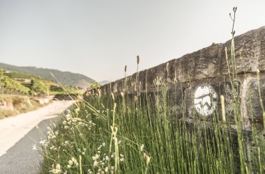Welterbesteig Wachau , © Österreich Werbung Welterbesteig Wachau , © Österreich Werbung