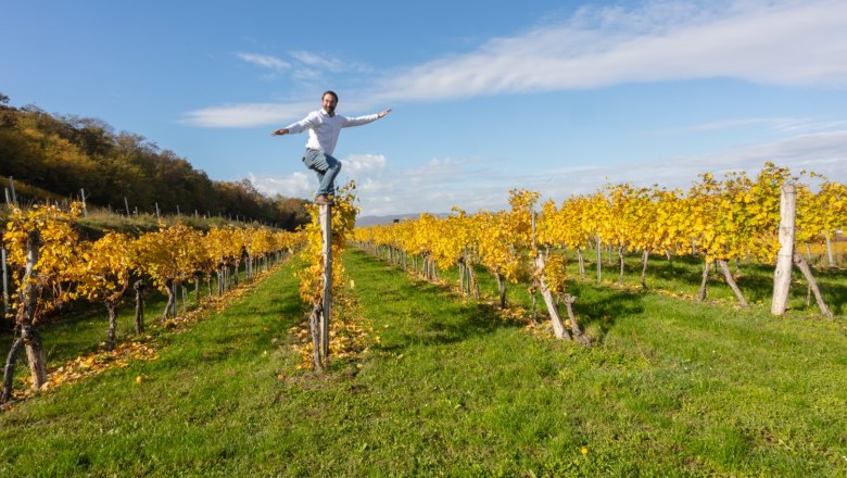 2U3A7189 (Groß), © Weingut Tanzer 2U3A7189 (Groß), © Weingut Tanzer