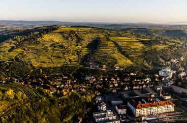 Weinrieden, © Robert Herbst Weinrieden, © Robert Herbst