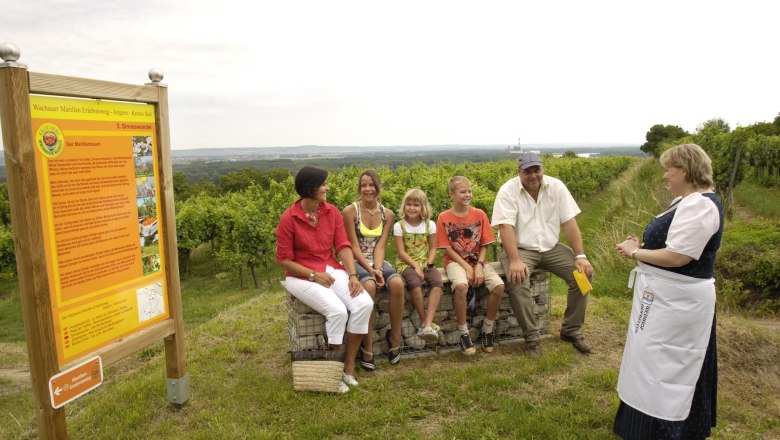 Apricot trail station, © Weinhof Aufreiter, Steve Haider Group of people sitting on crates next to a sign on a vineyard.
