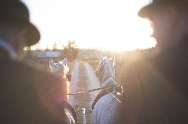 Fiaker Gebrüder Wolf Fiaker Gebrüder Wolf