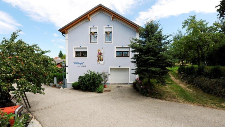 Ein zweist&ouml;ckiges Haus mit blauer Fassade und Holzdach, umgeben von B&auml;umen und einem gepflasterten Weg.