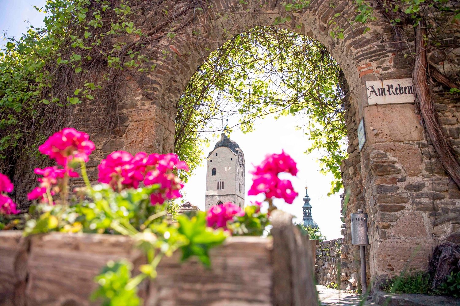 Rebentor in Krems