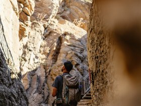 at the Aggstein ruins, &copy; Wachau-Nibelungengau-Kremstal