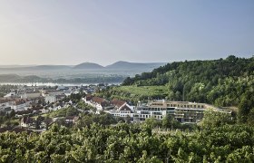 Blick auf das Steigenberger Hotel & Spa Krems umgeben von Weinbergen und Hügeln.