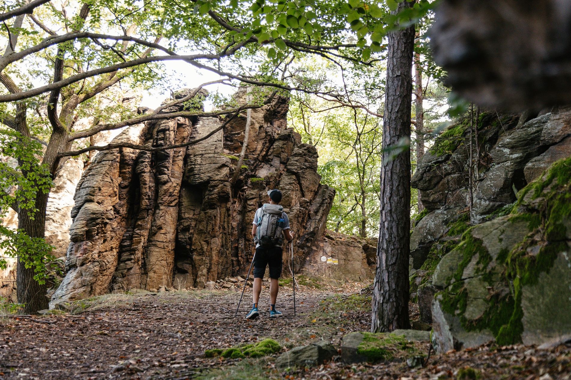 Dunkelsteinerwald