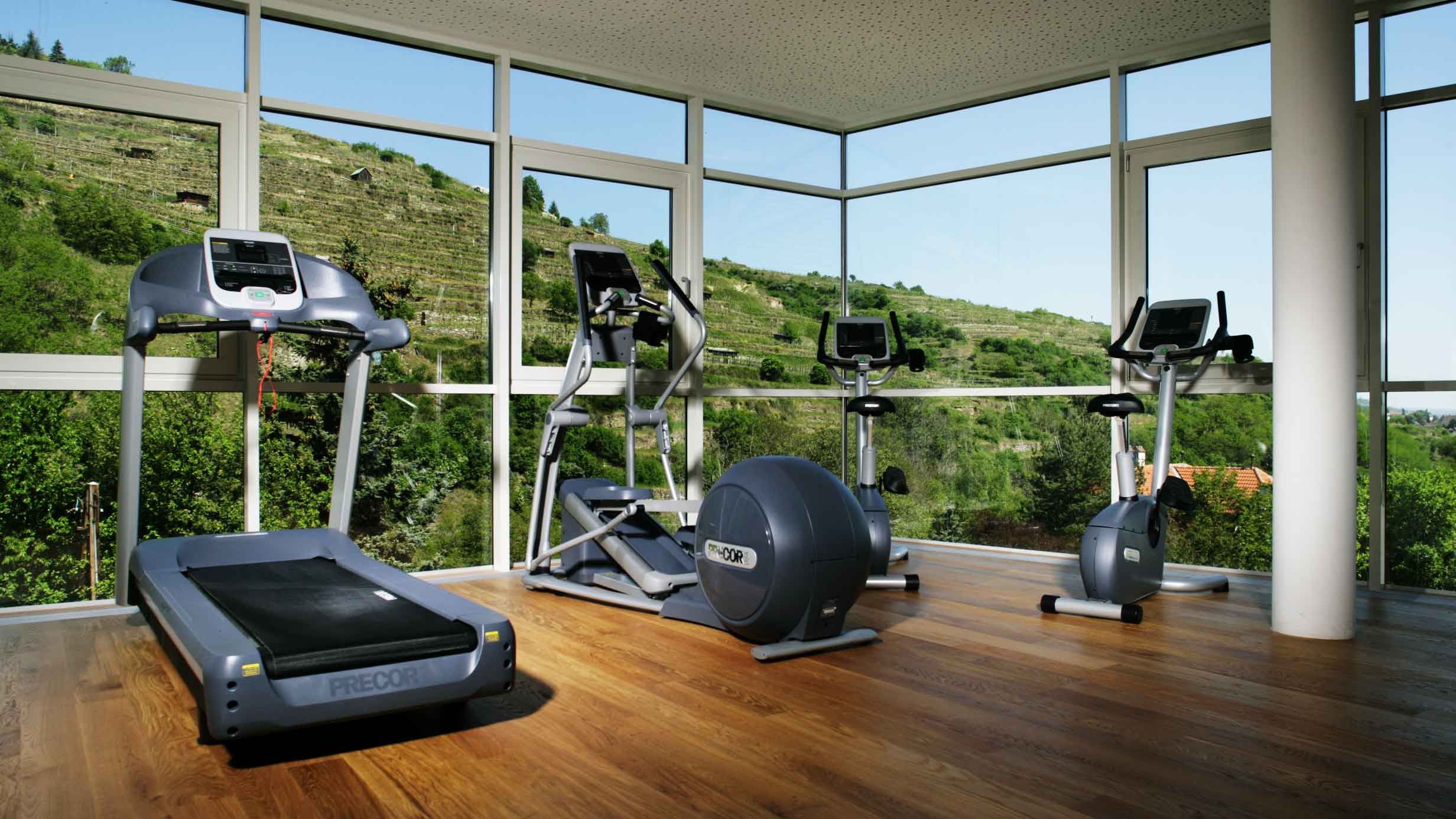 Fitnessraum mit Laufband, Crosstrainer und Heimtrainer vor großen Fenstern mit Blick auf grüne Hügel.