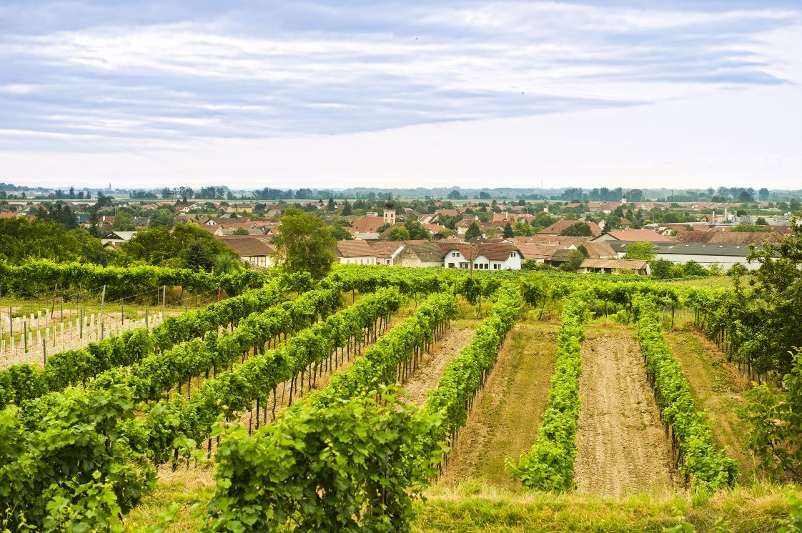 Gedersdorf im Kremstal