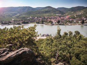 View of the northern bank of the Danube, &copy; Daniela Matejschek