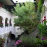 Ein Innenhof mit Pflanzen und Blumen in T&ouml;pfen, umgeben von wei&szlig;en W&auml;nden und B&ouml;gen.