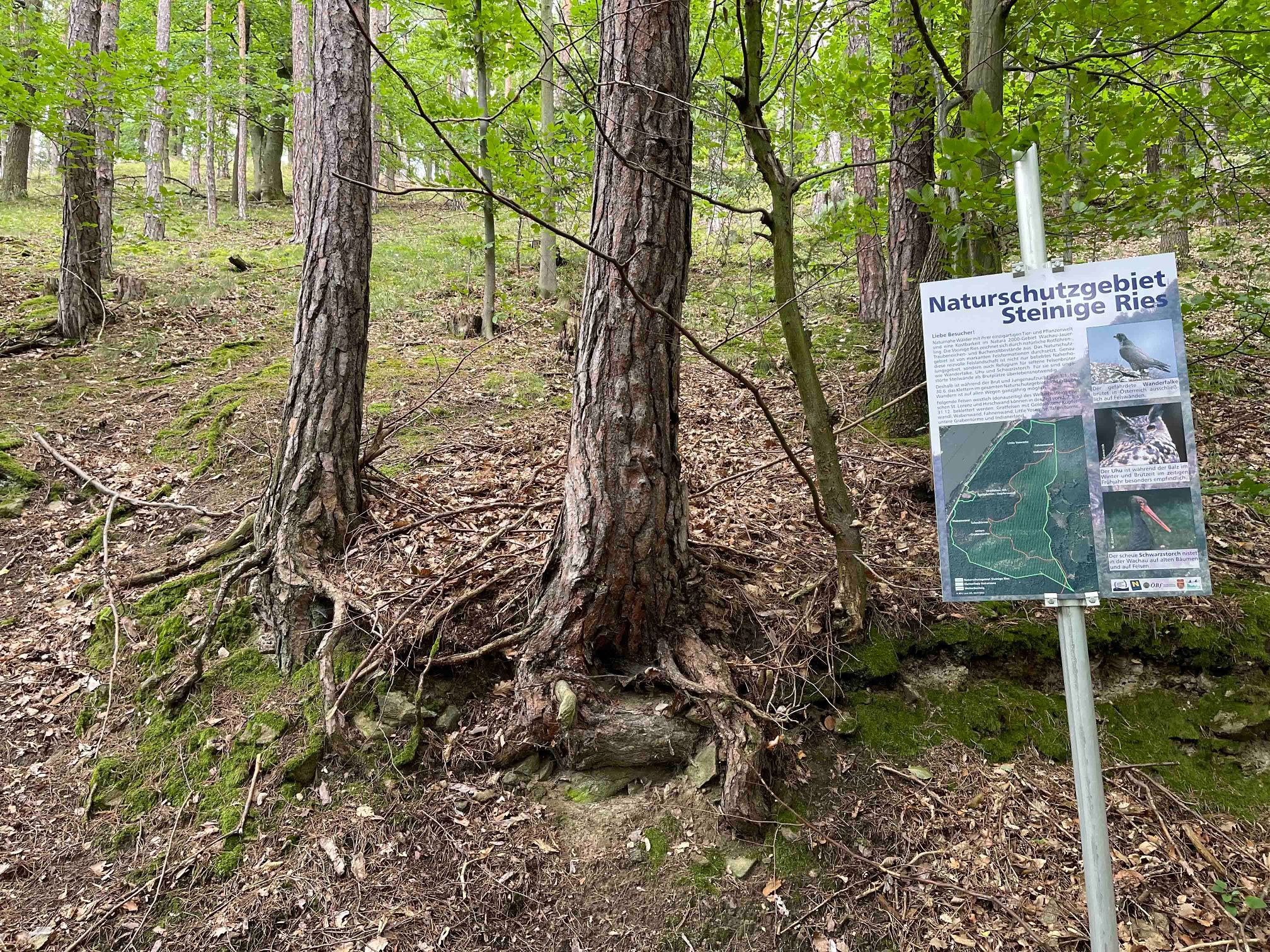 Naturschutzgebiet Steinige Ries