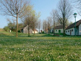 Blooming meadows, &copy; Franz Haslinger