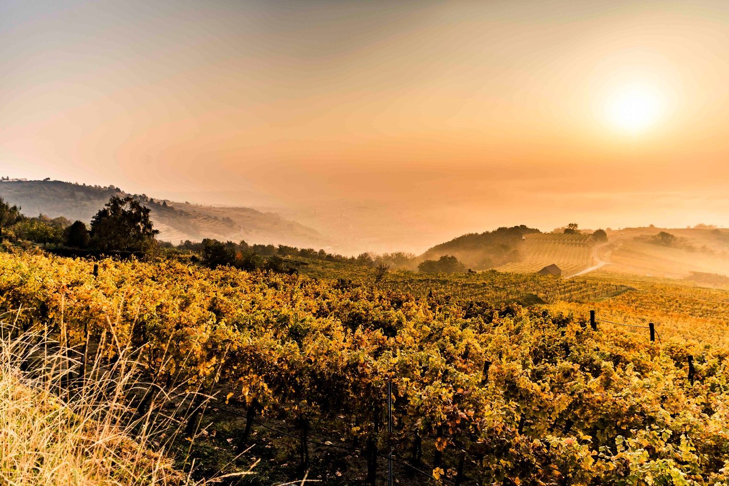 Herbstlandschaft in Krems
