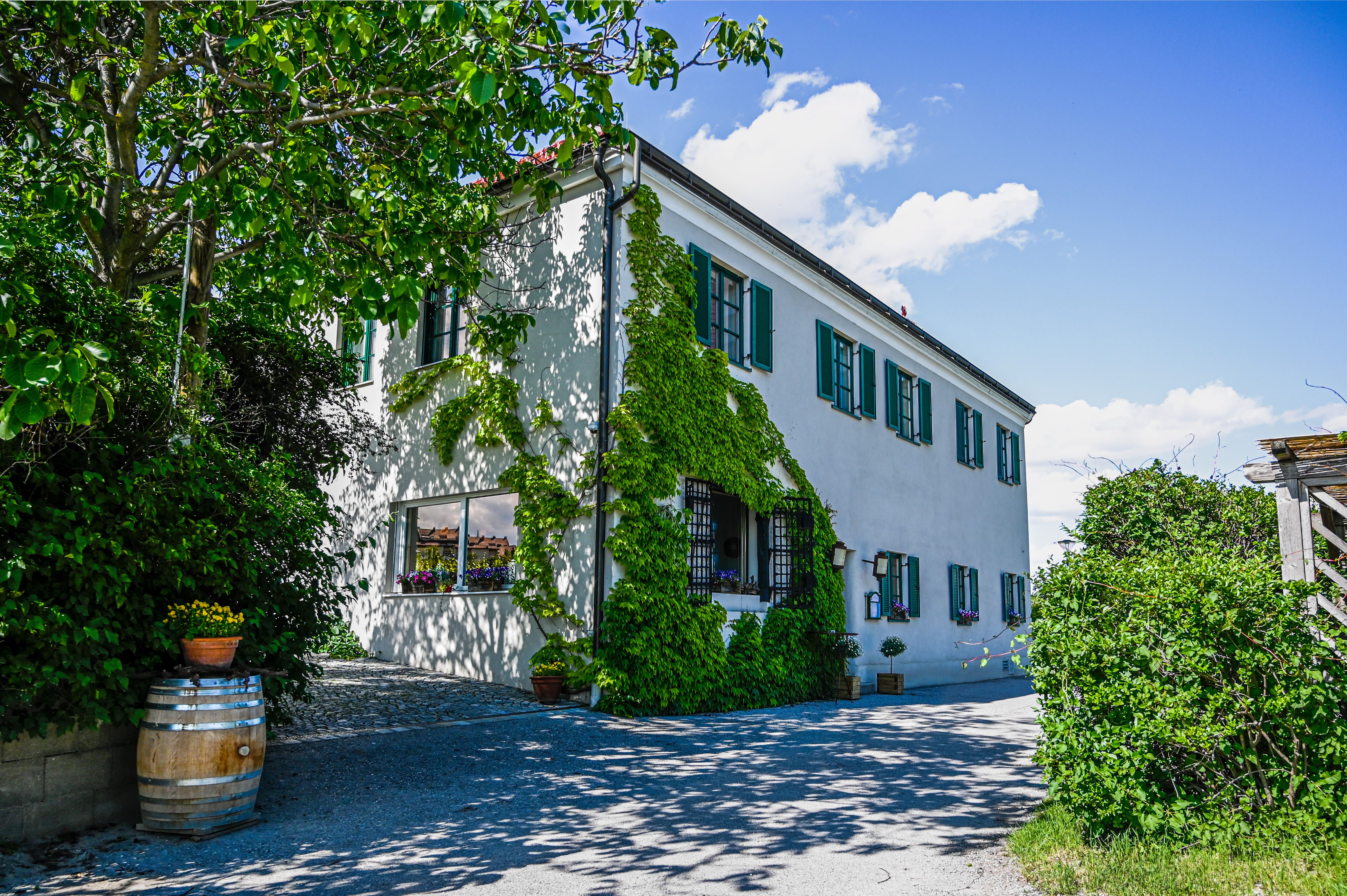 Außenansicht eines weißen Hauses mit grünen Fensterläden und Efeu an der Fassade.