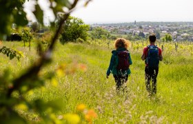 Blick auf Stratzing, &copy; Wachau-Nibelungengau-Kremstal