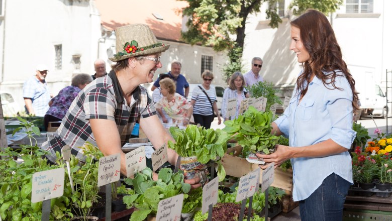 Markt in Krems, &copy; Gerhard Lechner