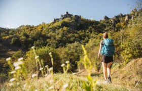 Am Weg zur Ruine D&uuml;rnstein, &copy; Wachau-Nibelungengau-Kremstal