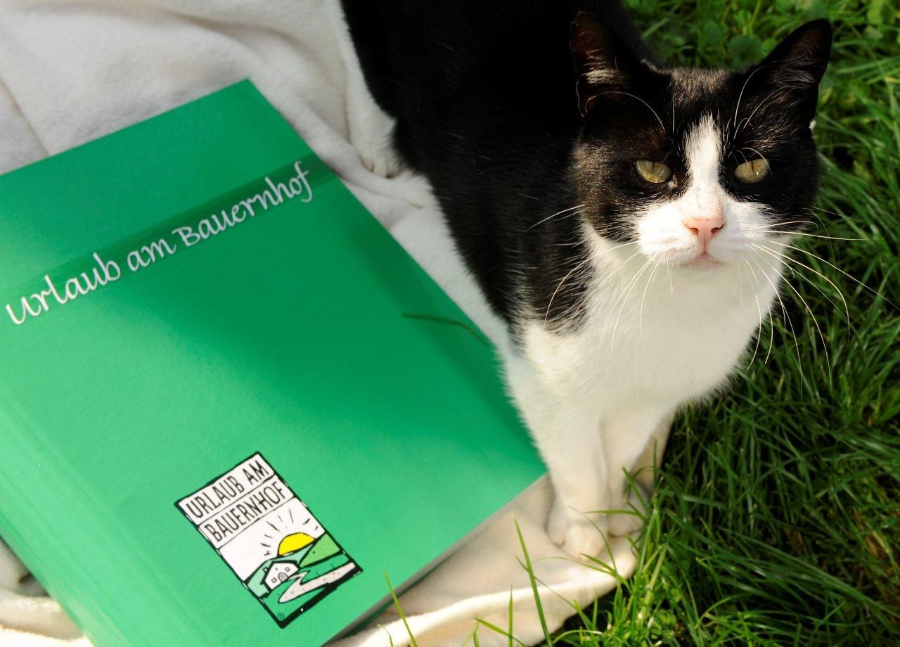 Eine schwarz-weiße Katze sitzt neben einem grünen Ordner mit der Aufschrift 'Urlaub am Bauernhof'.