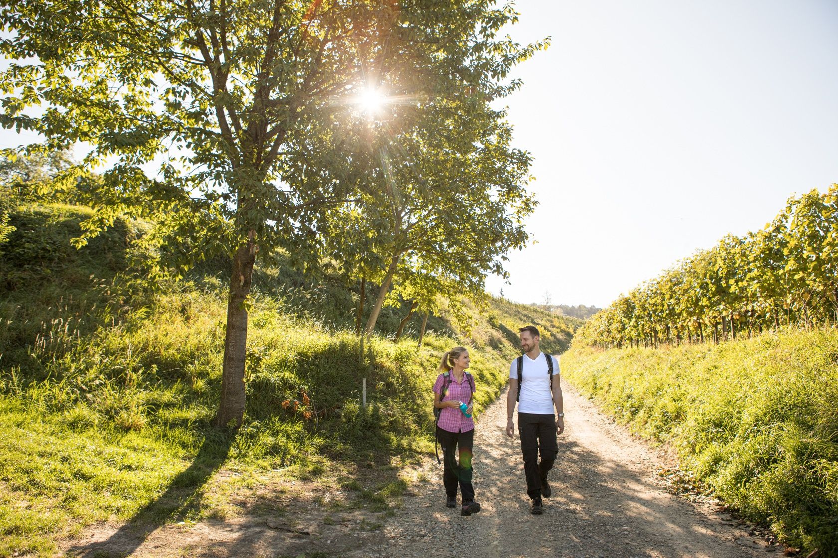 am Weg bei Krustetten