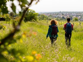 View of Stratzing, &copy; Wachau-Nibelungengau-Kremstal