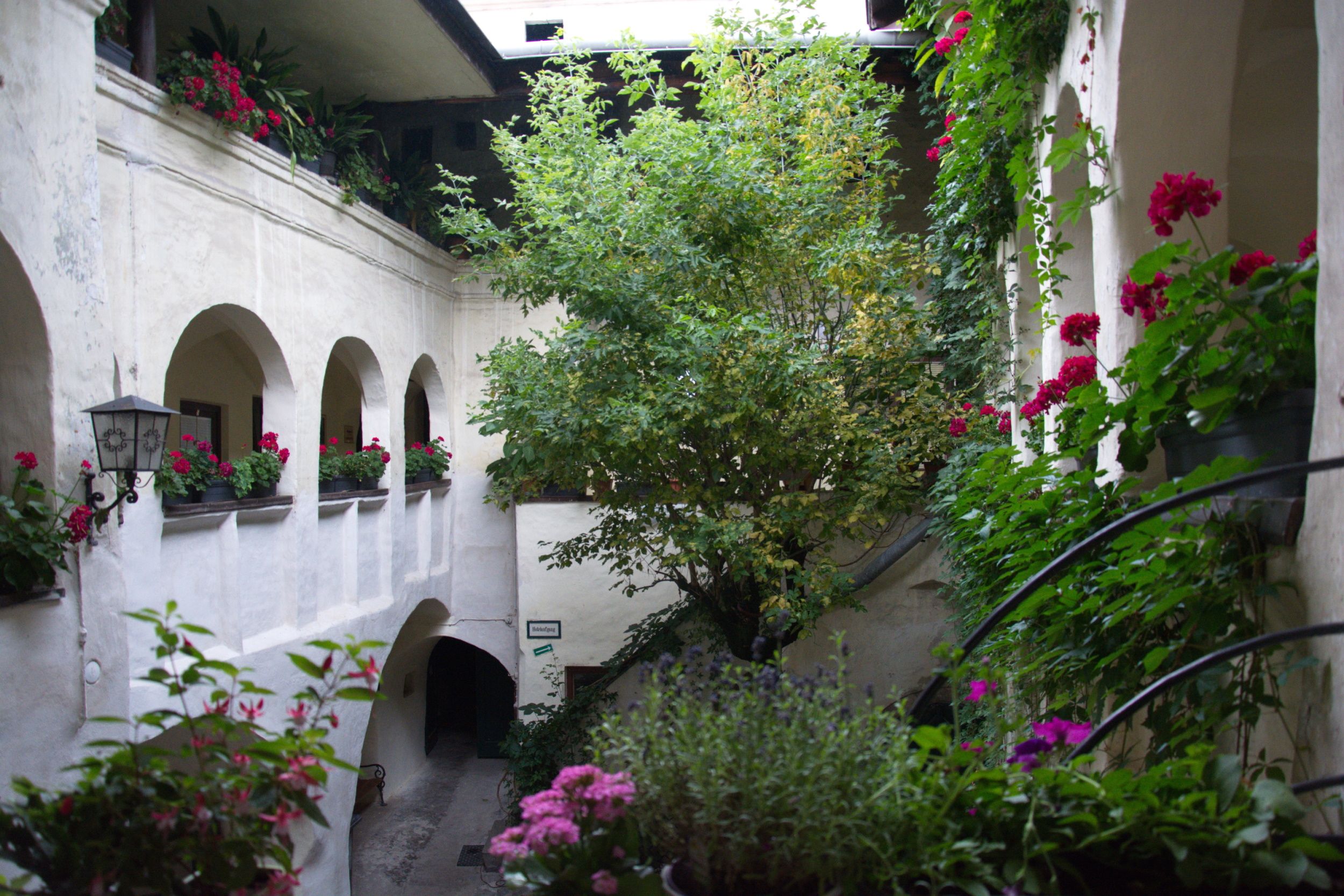 Ein Innenhof mit Pflanzen und Blumen in Töpfen, umgeben von weißen Wänden und Bögen.