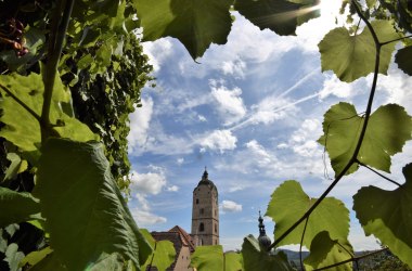 Wein in Krems, © Stadtmarketing Krems/Kurt Streibel