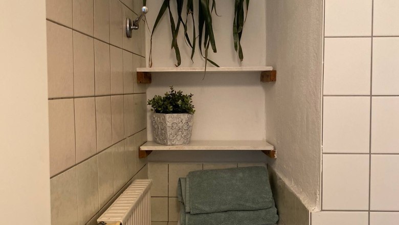 Bathroom with towels, plants and radiator.