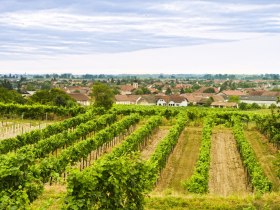 Gedersdorf im Krems Valley ("Kremstal" in German), &copy; Kremstal