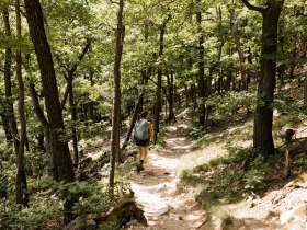 through the forest, &copy; Wachau-Nibelungengau-Kremstal