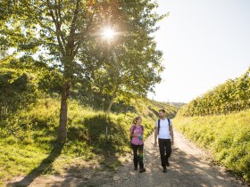 on the path near Krustetten, &copy; Wachau-Nibelungengau-Kremstal