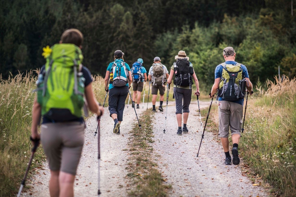 Wanderer auf dem Weg