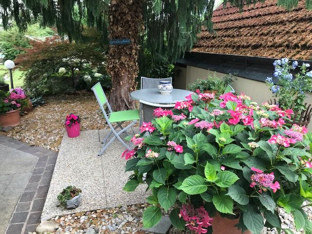 Garten mit Tisch, Stühlen und blühenden Pflanzen.