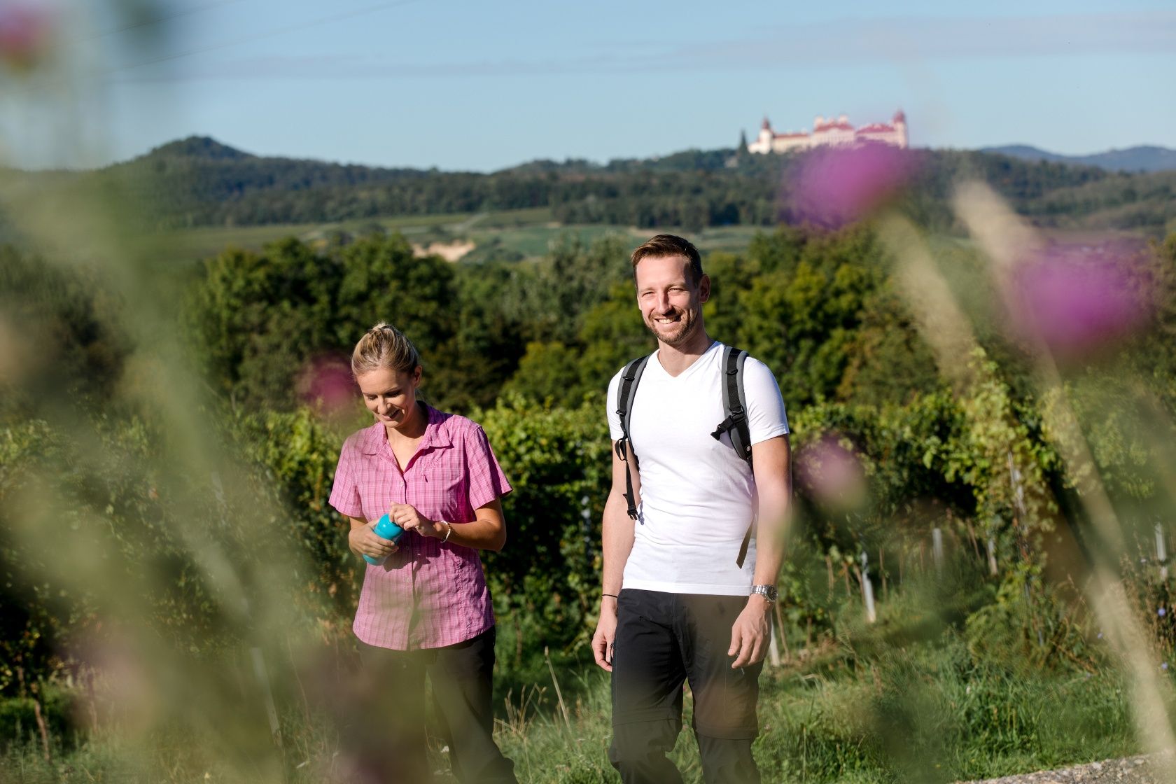 Zwischen den Weinrieden