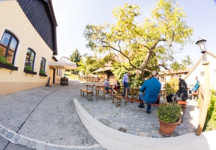 Im Gastgarten.