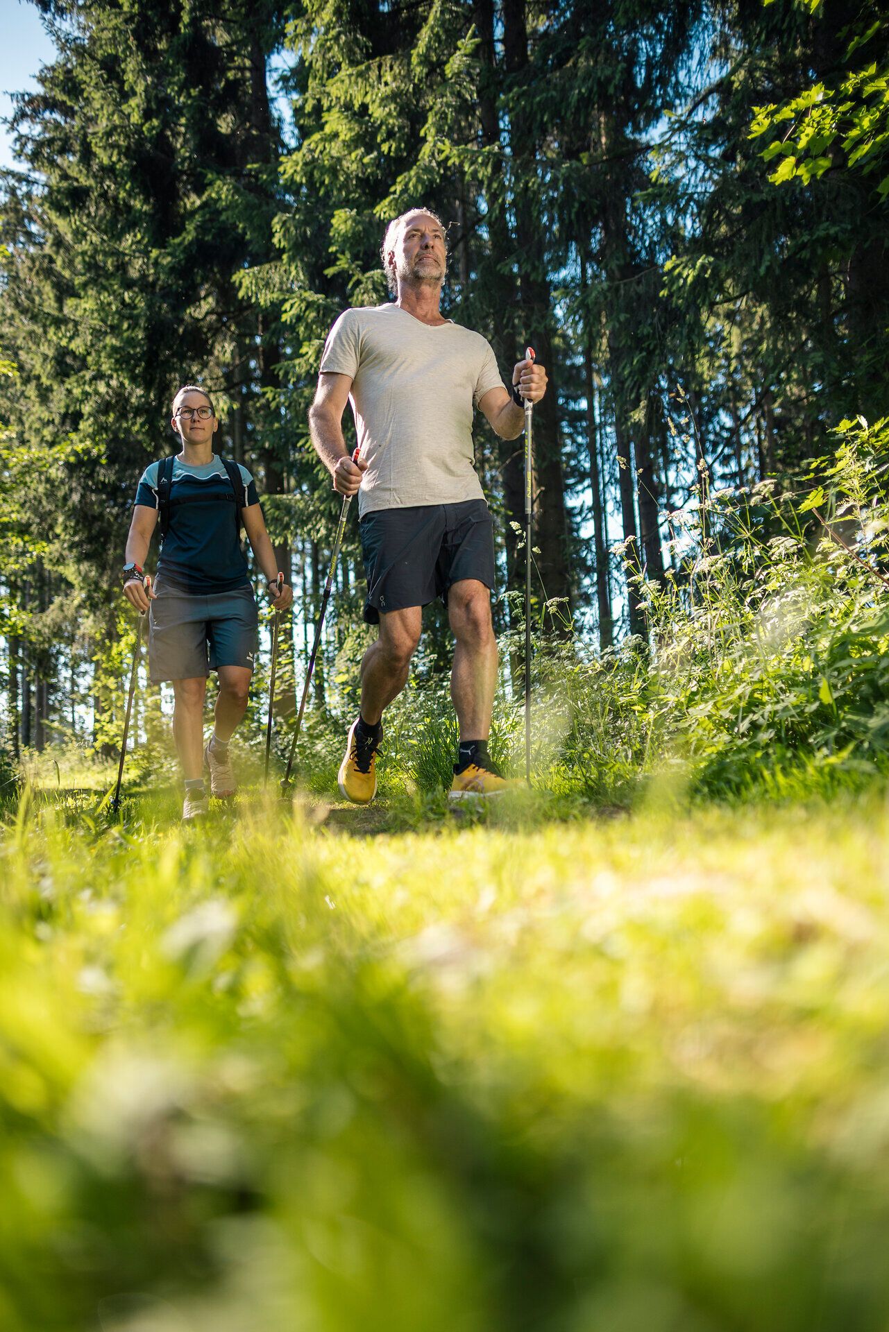 Zwei Personen wandern mit Stöcken durch den Wald beim Lebens.Resort Ottenschlag im Waldviertel.