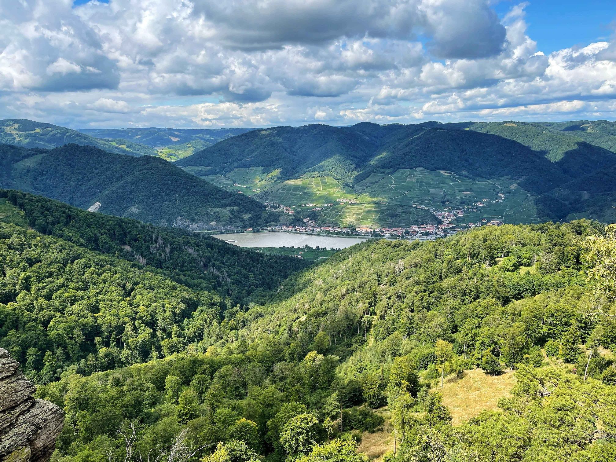 Aussicht auf das gegenüberliegende Donauufer